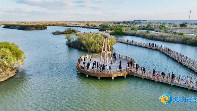 相信在今后 相信在今后